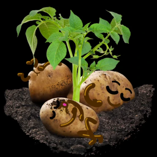 Стикер 8 Potato