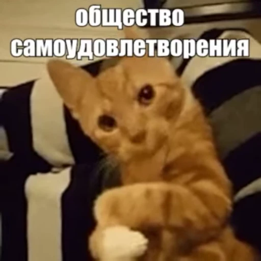 😸 Стикер «Стикеры потребления...» для Telegram