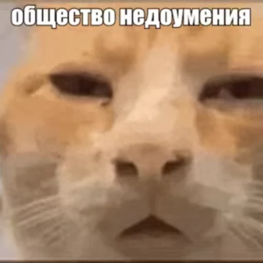 ❓ Стикер «Стикеры потребления...» для Telegram