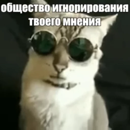 😎 Стикер «Стикеры потребления...» для Telegram