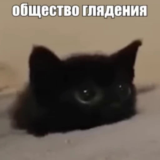 🥺 Стикер «Стикеры потребления...» для Telegram