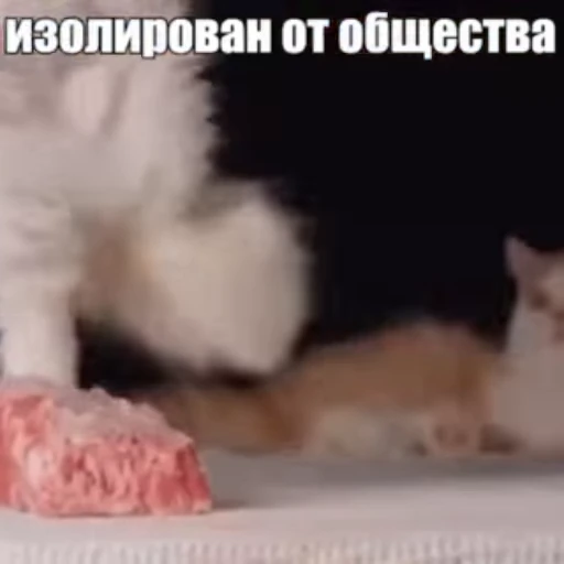 #️⃣ Стикер «Стикеры потребления...» для Telegram