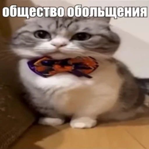 🦋 Стикер «Стикеры потребления...» для Telegram