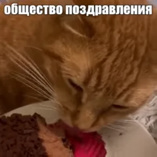 🍰 Стикер «Стикеры потребления...» для Telegram