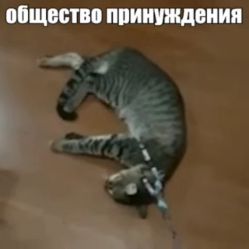 😔 Стикер «Стикеры потребления...» для Telegram
