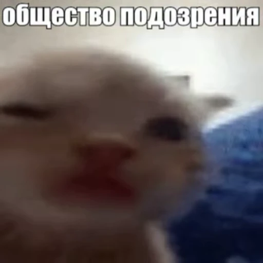 😑 Стикер «Стикеры потребления...» для Telegram