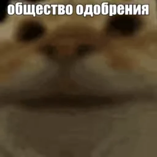 👍 Стикер «Стикеры потребления...» для Telegram