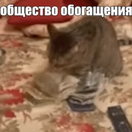 💸 Стикер «Стикеры потребления...» для Telegram