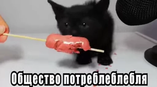 🐈‍⬛ Стикер «Стикеры потребления...» для Telegram