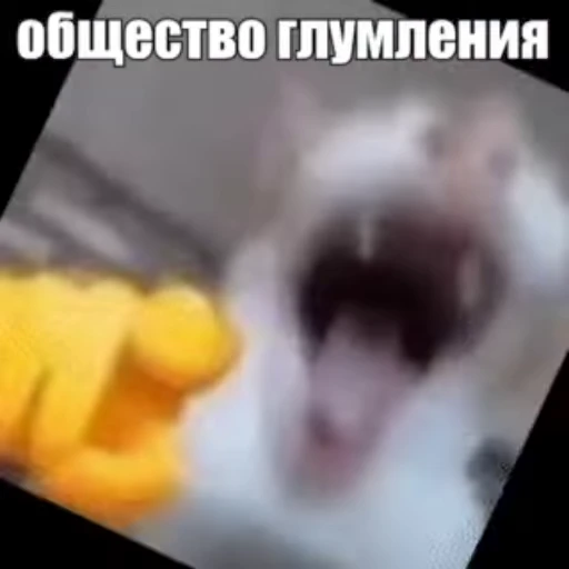 🫵 Стикер «Стикеры потребления...» для Telegram