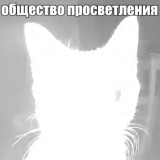 🔦 Стикер «Стикеры потребления...» для Telegram