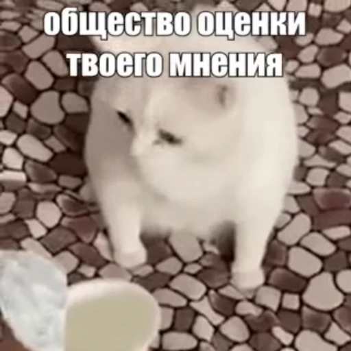 🤢 Стикер «Стикеры потребления...» для Telegram