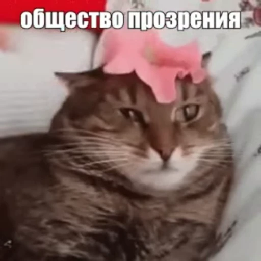 🤯 Стикер «Стикеры потребления...» для Telegram