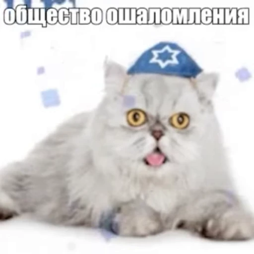 🇮🇱 Стикер «Стикеры потребления...» для Telegram