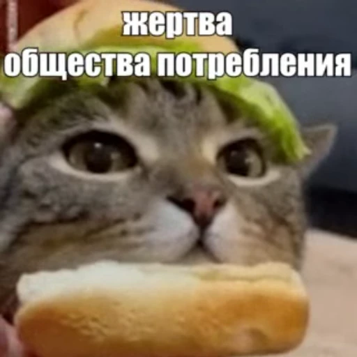 🍔 Стикер «Стикеры потребления...» для Telegram