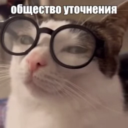 ☝️ Стикер «Стикеры потребления...» для Telegram