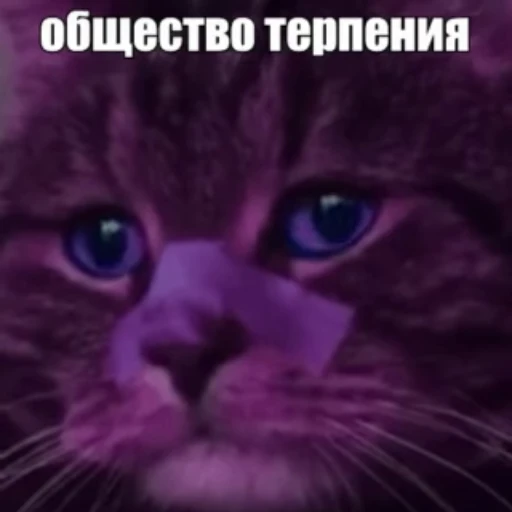 😔 Стикер «Стикеры потребления...» для Telegram