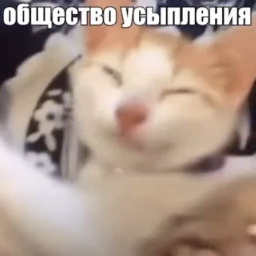 💤 Стикер «Стикеры потребления...» для Telegram