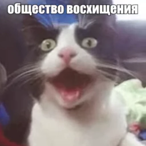 😃 Стикер «Стикеры потребления...» для Telegram