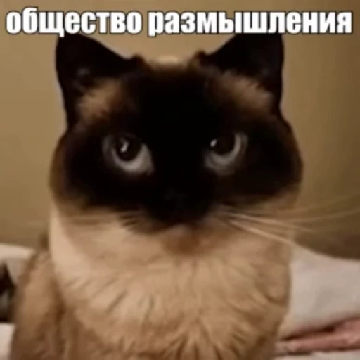 🤔 Стикер «Стикеры потребления...» для Telegram