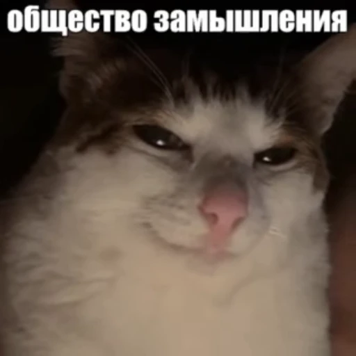 😈 Стикер «Стикеры потребления...» для Telegram