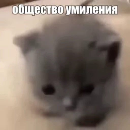 🥺 Стикер «Стикеры потребления...» для Telegram