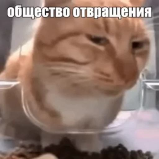 😒 Стикер «Стикеры потребления...» для Telegram