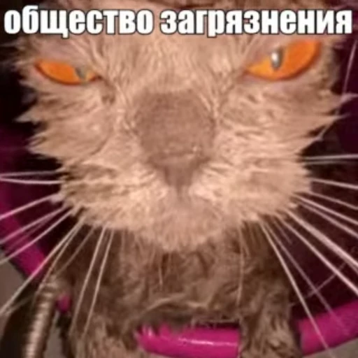 😠 Стикер «Стикеры потребления...» для Telegram