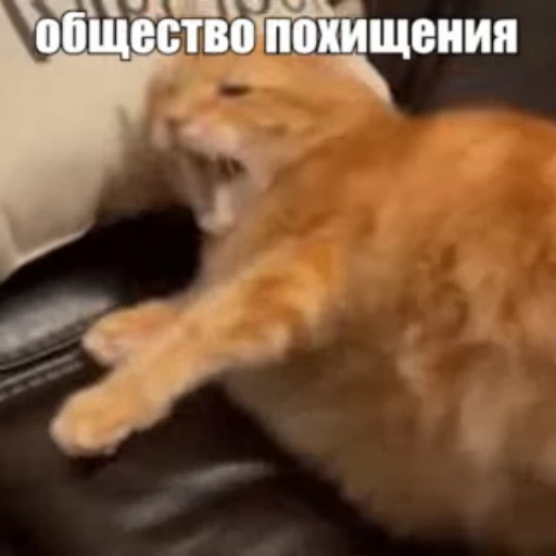 😱 Стикер «Стикеры потребления...» для Telegram