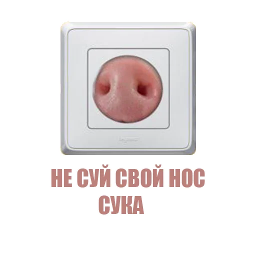 🐽 Стикер «Потрещим бля» для Telegram
