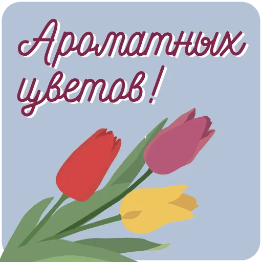 Стикер 11 Анимированный набор эмоджи с открытками пожеланиями