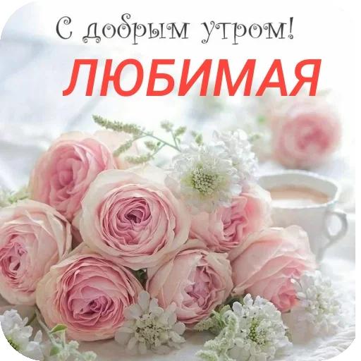 🌸 Стикер «Пожелания Разное» для Telegram
