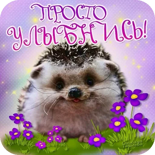 🐱 Стикер «Пожелания Разное» для Telegram