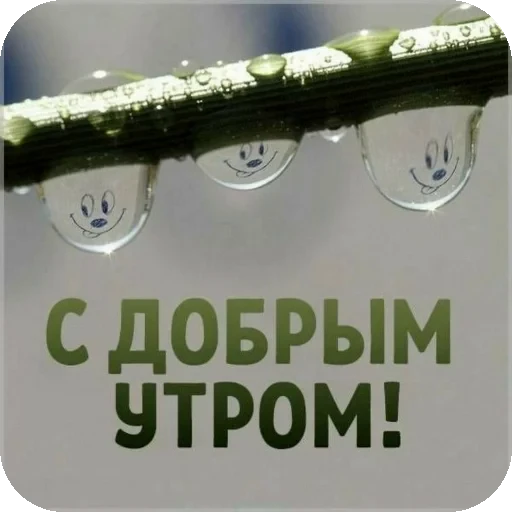 👍 Стикер «Пожелания Разное» для Telegram