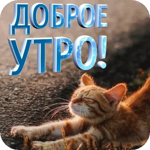 🌌 Стикер «Пожелания Разное» для Telegram
