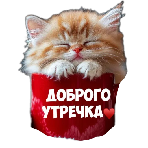 🌅 Стикер «Приветы» для Telegram