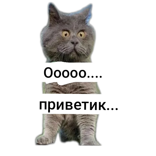 🤚 Стикер «Приветы» для Telegram