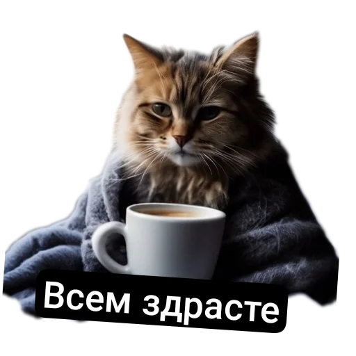 ✋ Стикер «Приветы» для Telegram
