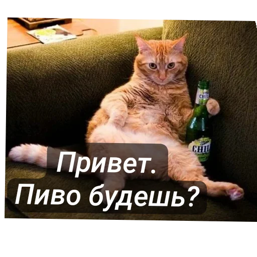 🍺 Стикер «Приветы» для Telegram