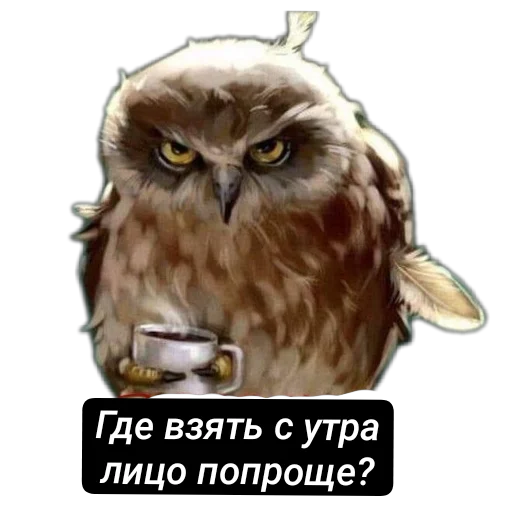🧐 Стикер «Приветы» для Telegram