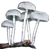 Стикер 13 𝑃𝑠𝑦𝑐𝒉𝑒𝑑𝑒𝑙𝑖𝑐
