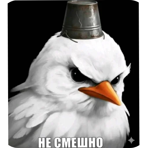 🐦 Стикер «Вряд-ли птица» для Telegram