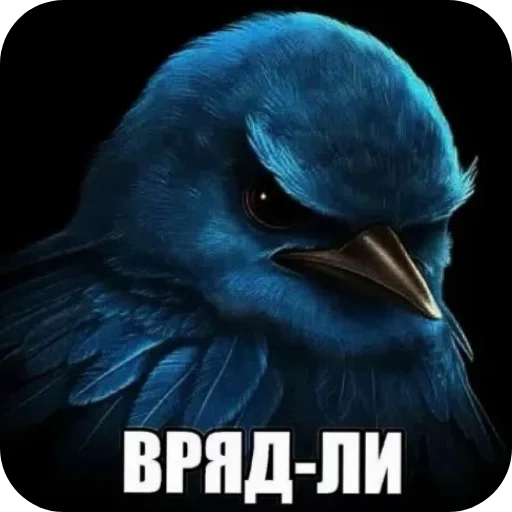 Стикерпак Вряд-ли птица для Telegram — скачать