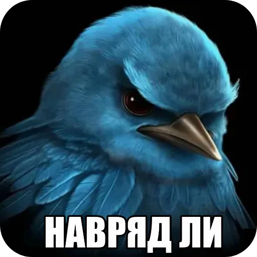 🐦 Стикер «Вряд-ли птица» для Telegram