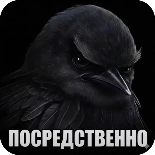 🐦 Стикер «Вряд-ли птица» для Telegram