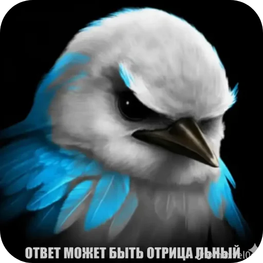 🐦 Стикер «Вряд-ли птица» для Telegram