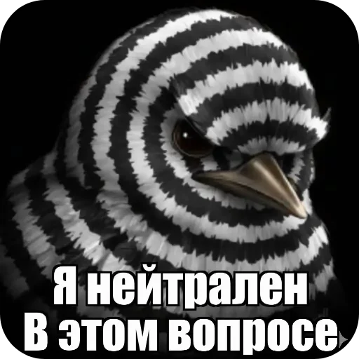 🐦 Стикер «Вряд-ли птица» для Telegram