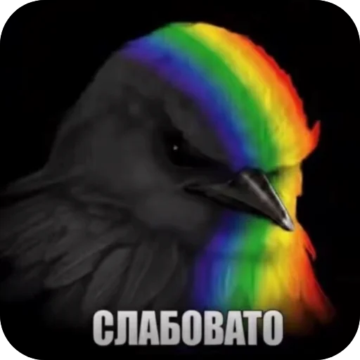 🐦 Стикер «Вряд-ли птица» для Telegram