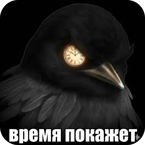 🎩 Стикер «Вряд-ли птица» для Telegram