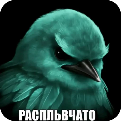 🐦 Стикер «Вряд-ли птица» для Telegram